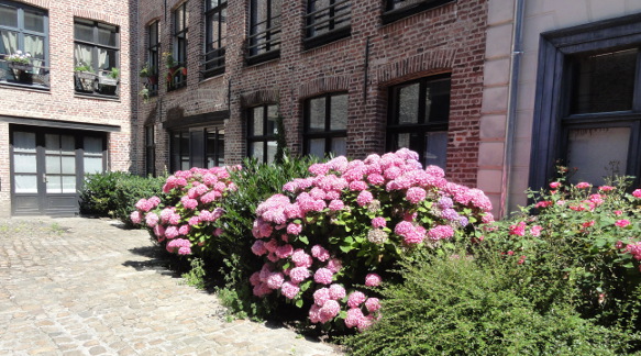 B&B, Furnished apartment rental Lille, aparthotel, holiday rentals, vacation