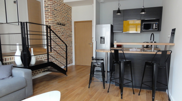 B&B, Furnished apartment rental Lille, aparthotel, holiday rentals, vacation