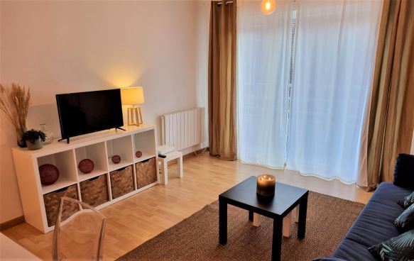 B&B, Furnished apartment rental Lille, aparthotel, holiday rentals, vacation