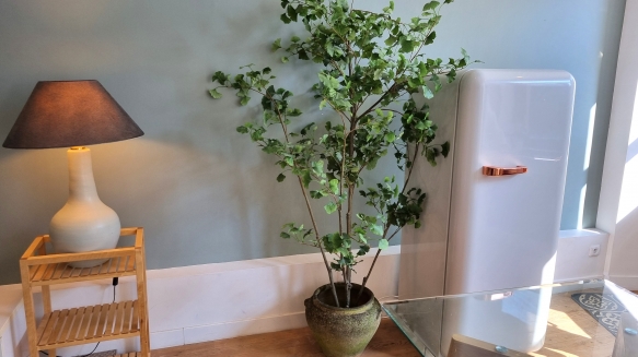 B&B, Furnished apartment rental Lille, aparthotel, holiday rentals, vacation