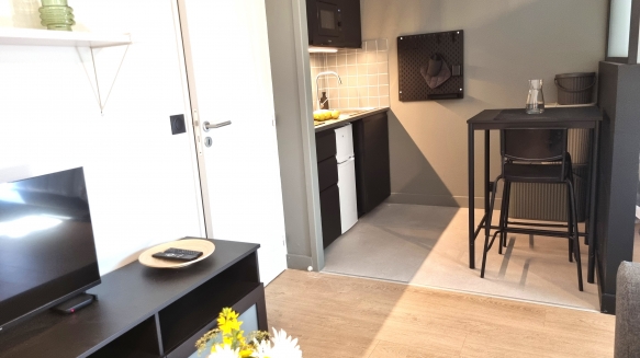 B&B, Furnished apartment rental Lille, aparthotel, holiday rentals, vacation