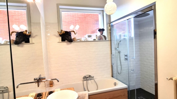 B&B, Furnished apartment rental Lille, aparthotel, holiday rentals, vacation