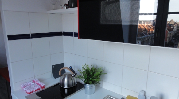 B&B, Furnished apartment rental Lille, aparthotel, holiday rentals, vacation